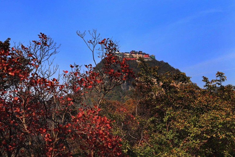 登上河南云台山茱萸峰一