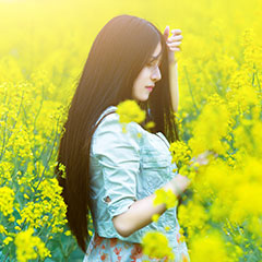 油菜花田