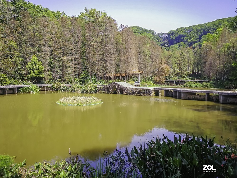 深圳仙湖植物园 ~ 掠影