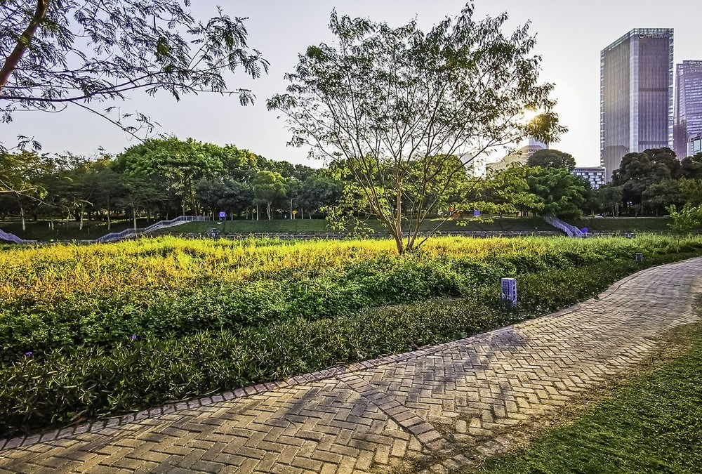 深圳中心公园 ～ 掠影
