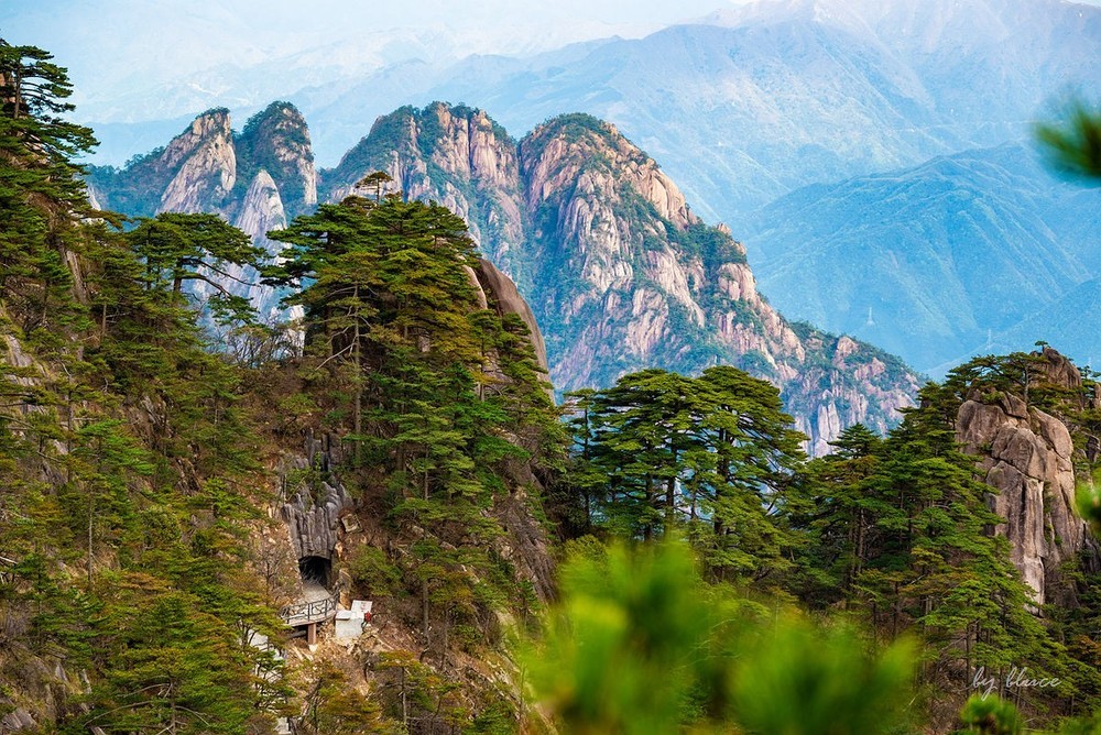 春游黄山（十）.......完