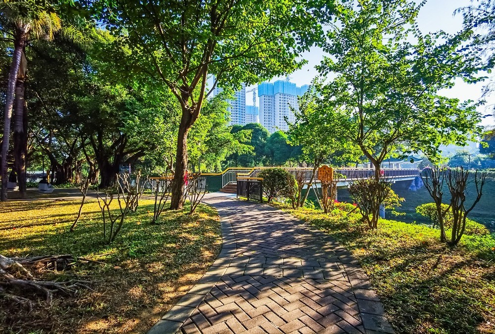 深圳中心公园～掠影