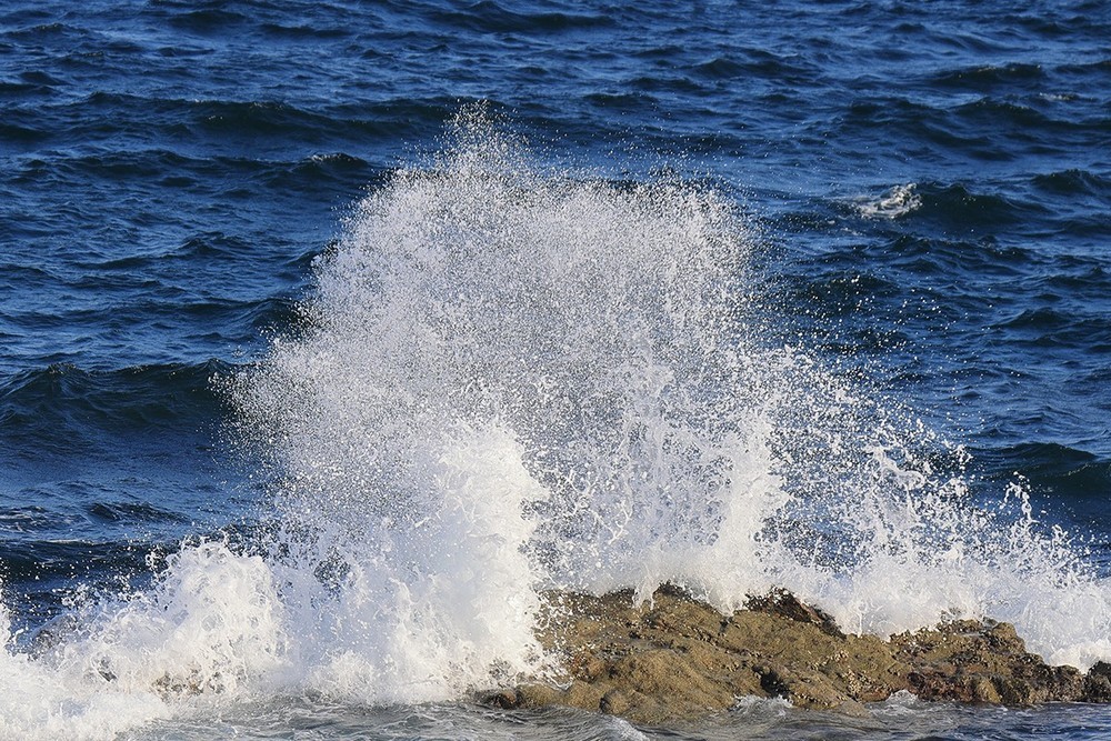 浪花