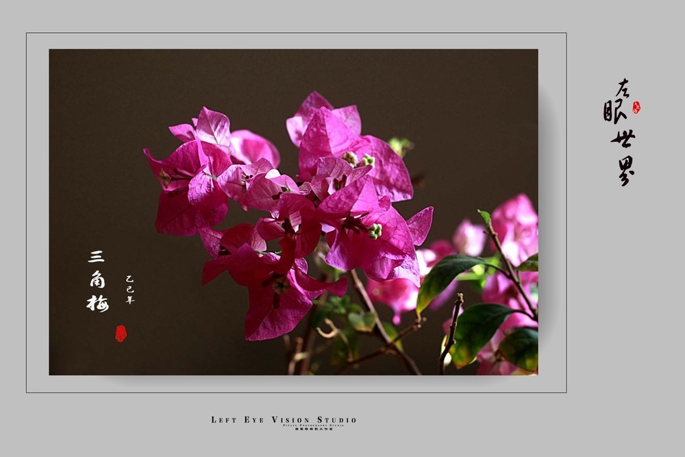 �����һ������λ��ʦӰ�Ѱ�����������