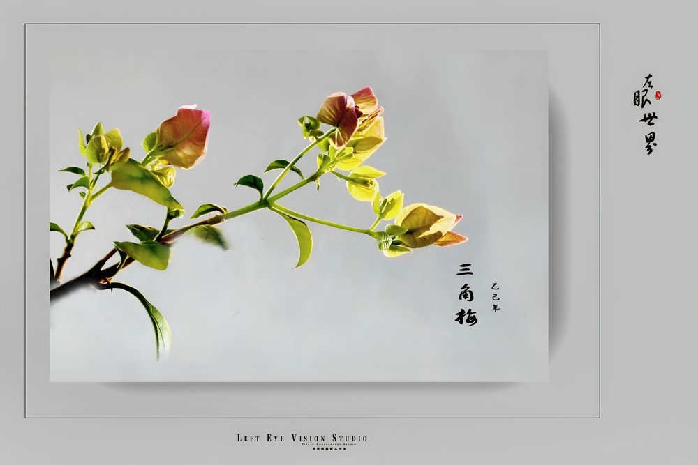 �����һ������λ��ʦӰ�Ѱ�����������