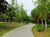 走走拍拍（2019年8月25日-10）