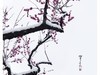 红梅傲雪