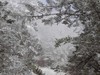 四川海螺沟