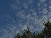 悠游山林间,