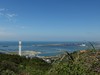 悠游山林间,