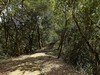 悠游山林间,