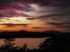 清清湖水边（8）