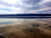 青海 · 乌兰县 · 茶卡盐湖（二）
