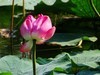 走走拍拍（2019年8月25日-6）