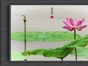 济南大明湖拍摄荷花（老张光影指导）