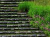 花花世界（东瀛）