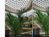 非线上品牌的转型思路：vivo Z5x体验报告