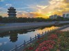春天来了