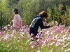 走走拍拍（2019010.13-6）