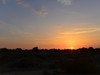 大漠早晨