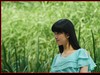 夏日，靓丽的青春（中关村济南星空(中国)外拍活动作业）
