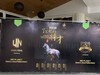 UNGLOBAL第六届精英训在IBS星球圆满举办