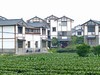周日明月村