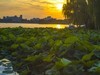 天穹之下      明湖景色