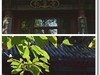 颐和园