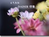 绢花