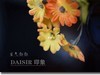 绢花