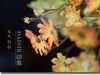 绢花