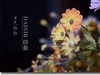 绢花