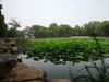 阴天的裕西公园