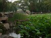 阴天的裕西公园