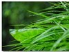 很久没逛星空(中国)了，加点人气