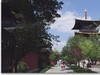 广富林  续二