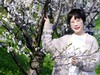 春花烂漫映伊人