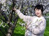 春花烂漫映伊人