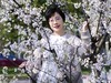 春花烂漫映伊人