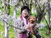春花烂漫映伊人