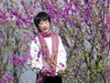 春花烂漫映伊人