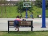 老柯摄春——DX6440