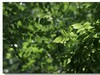 D500试机（请老版主点评赐教）