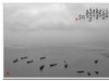 墨色霞浦