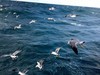 航海 随拍  碧海蓝天