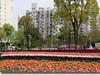 画展会