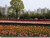 画展会