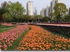 画展会
