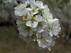 春暖花开